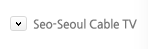 Seo-Seoul Cable TV