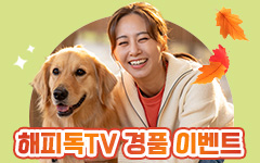 10 <ǵTV>ű԰ ̺Ʈ